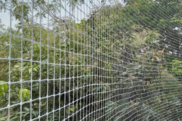 Monkey Safety Nets For Balconies In Mysore