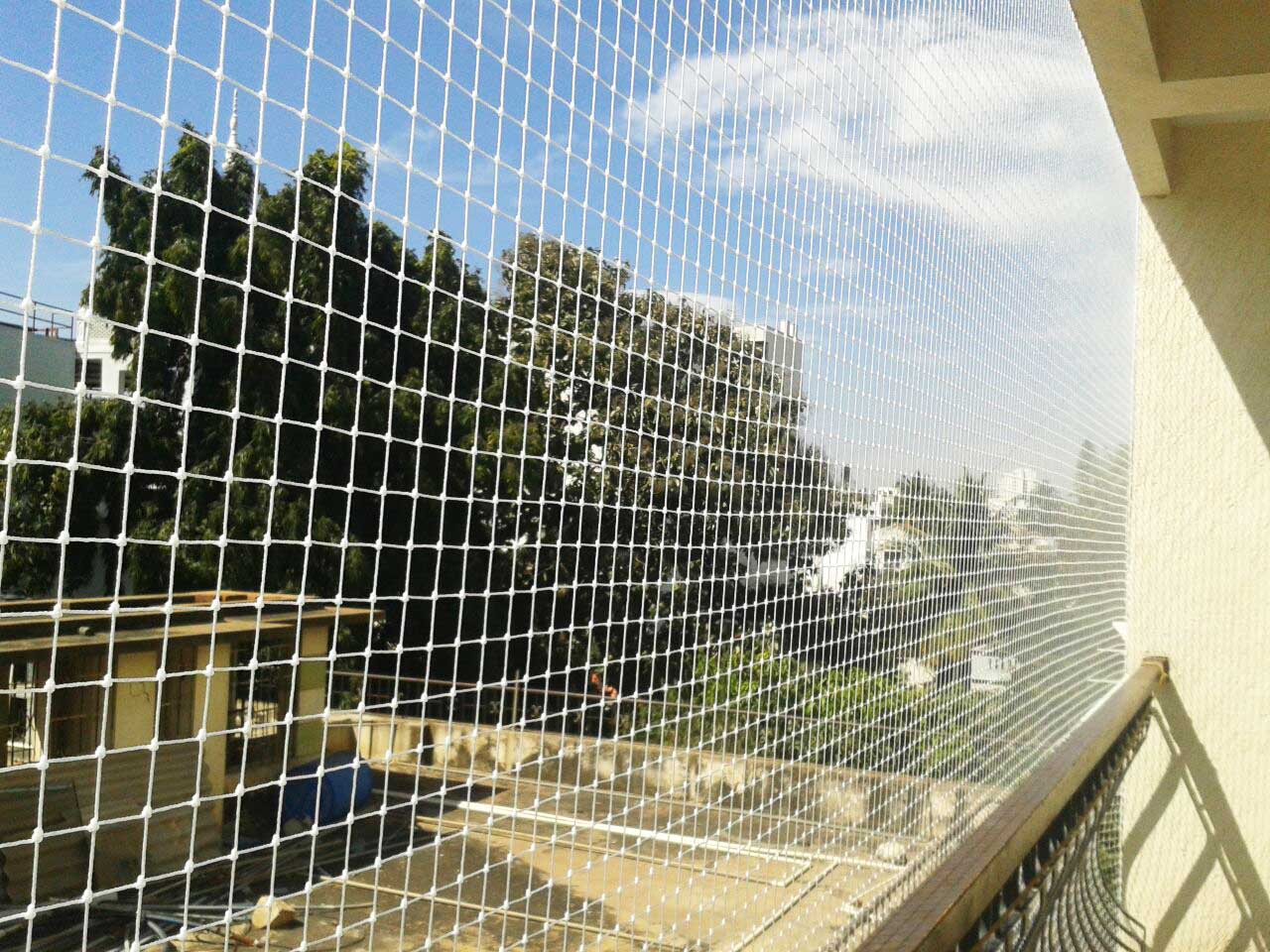 Top Industrial Bird Netting Services in Mysore